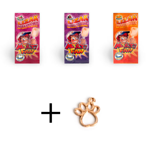 Lizak Multifan bez cukru x 3 + GRATIS CHARMS